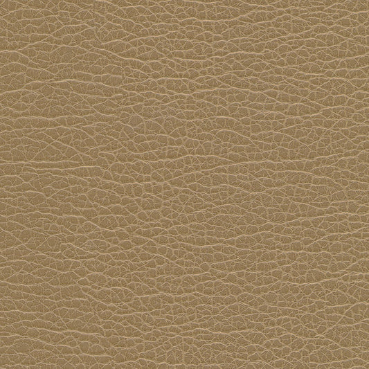 SNC1199 Maxwell FABRIC # 1199 BIRCH MO-COATEDFABRICS