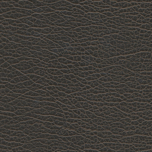 SNC1202 Maxwell FABRIC # 1202 GRAPHITE MO-COATEDFABRICS
