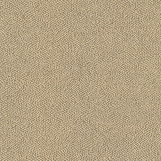 SNE663 Maxwell FABRIC # 663 ARCHIVE MO-COATEDFABRICS