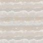 SOFT-1 STOUT SOFTWARE 1 STORM STORM MULTIPURPOSE