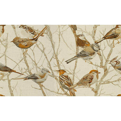 SPARROWS2-611 PERCHED NATURAL KRAVET COUTURE Fabrics Drapery Upholstery