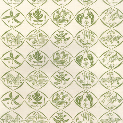 SPICES-31 SPICES CACTUS KRAVET COUTURE Fabrics Drapery Upholstery