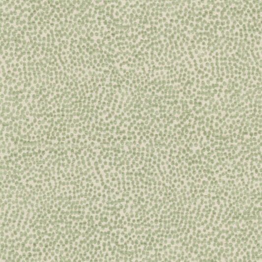 SPOTSWOOD Stout Upholstery