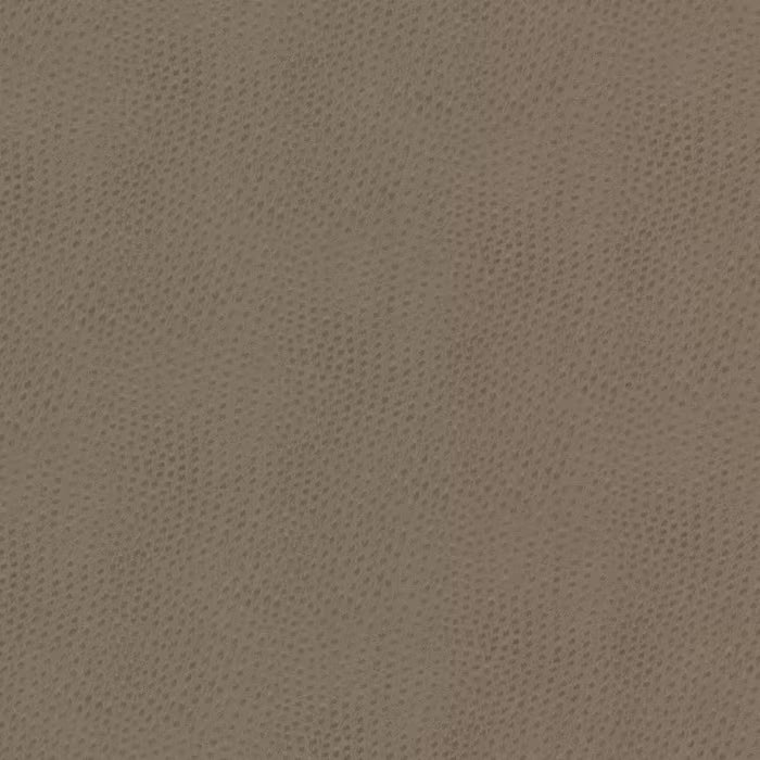 STEE-1 STOUT STEEPLECHASE 1 PUTTY PUTTY UPHOLSTERY