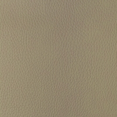 SUGARMAPLE-16 KRAVET DESIGN SUGARMAPLE-16 KRAVET DESIGN UPHOLSTERY