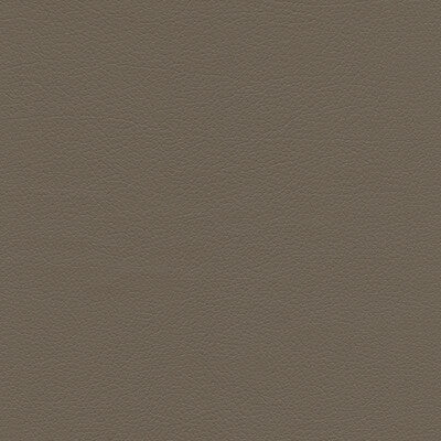 SUMAC-11 KRAVET DESIGN SUMAC-11 KRAVET DESIGN UPHOLSTERY