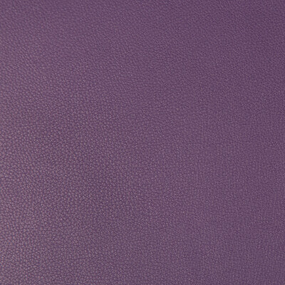 SYRUS-10 SYRUS GRAPE KRAVET CONTRACT UPHOLSTERY