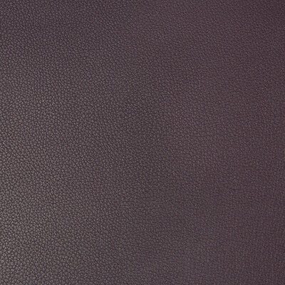 SYRUS-1019 SYRUS EGGPLANT KRAVET CONTRACT UPHOLSTERY