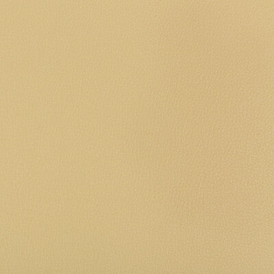 SYRUS-1416 SYRUS SESAME KRAVET CONTRACT UPHOLSTERY