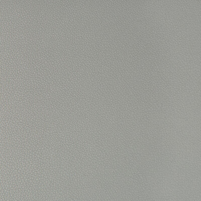 SYRUS-21 SYRUS NICKEL KRAVET CONTRACT UPHOLSTERY