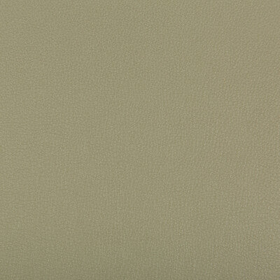 SYRUS-311 SYRUS SAGE KRAVET CONTRACT UPHOLSTERY
