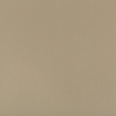 SYRUS-316 SYRUS ELM KRAVET CONTRACT UPHOLSTERY