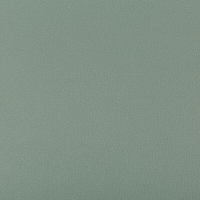 SYRUS-3511 SYRUS HERBAL KRAVET CONTRACT UPHOLSTERY