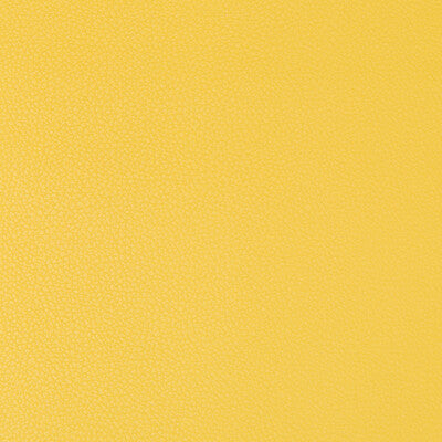 SYRUS-40 SYRUS SUNSHINE KRAVET CONTRACT UPHOLSTERY