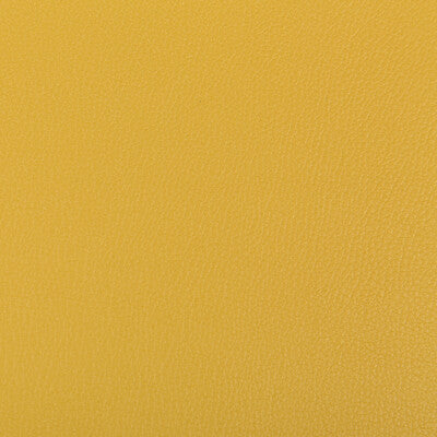 SYRUS-440 SYRUS MUSTARD KRAVET CONTRACT UPHOLSTERY