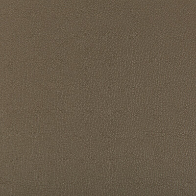SYRUS-606 SYRUS PORCINI KRAVET CONTRACT UPHOLSTERY