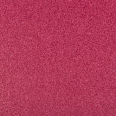 SYRUS-7 SYRUS FUSCHIA KRAVET CONTRACT UPHOLSTERY