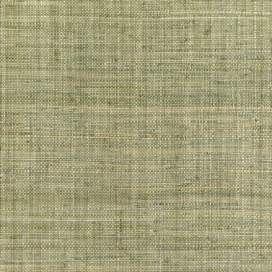 T10302 Thibaut Sage Wallpaper