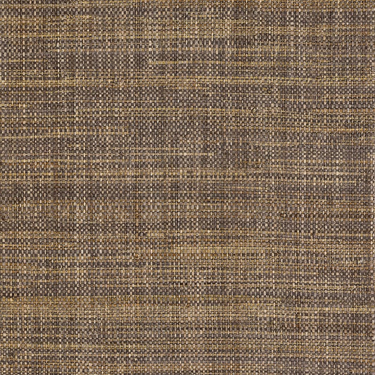 T10304 Thibaut Earth Wallpaper