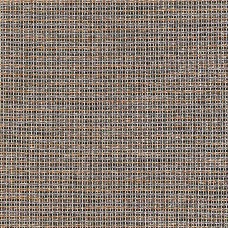 T10378 Thibaut Black Wallpaper
