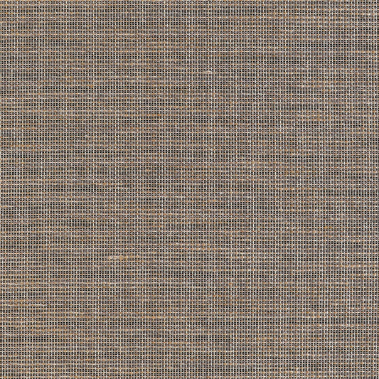 T10378 Thibaut Black Wallpaper