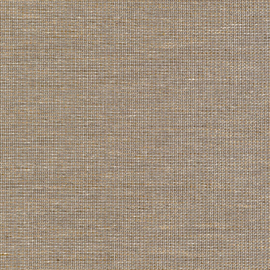 T10380 Thibaut Brown Wallpaper