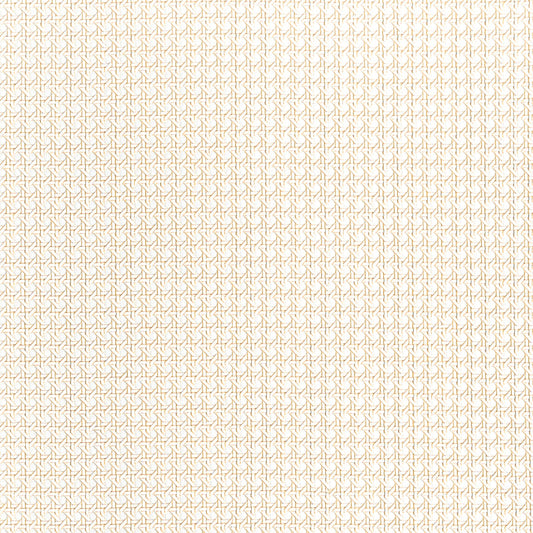 T10388 Thibaut White Wallpaper