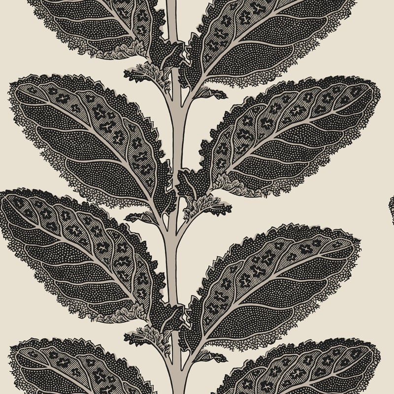 T12038 Thibaut Basalt Black Wallpaper