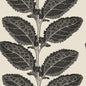 T12038 Thibaut Basalt Black Wallpaper