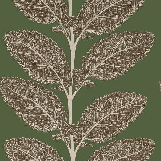 T12040 Thibaut Wild Sage Wallpaper
