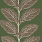T12040 Thibaut Wild Sage Wallpaper