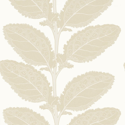 T12041 Thibaut Birch Wallpaper