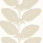 T12041 Thibaut Birch Wallpaper