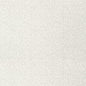 T12806 Thibaut Light Grey Wallpaper