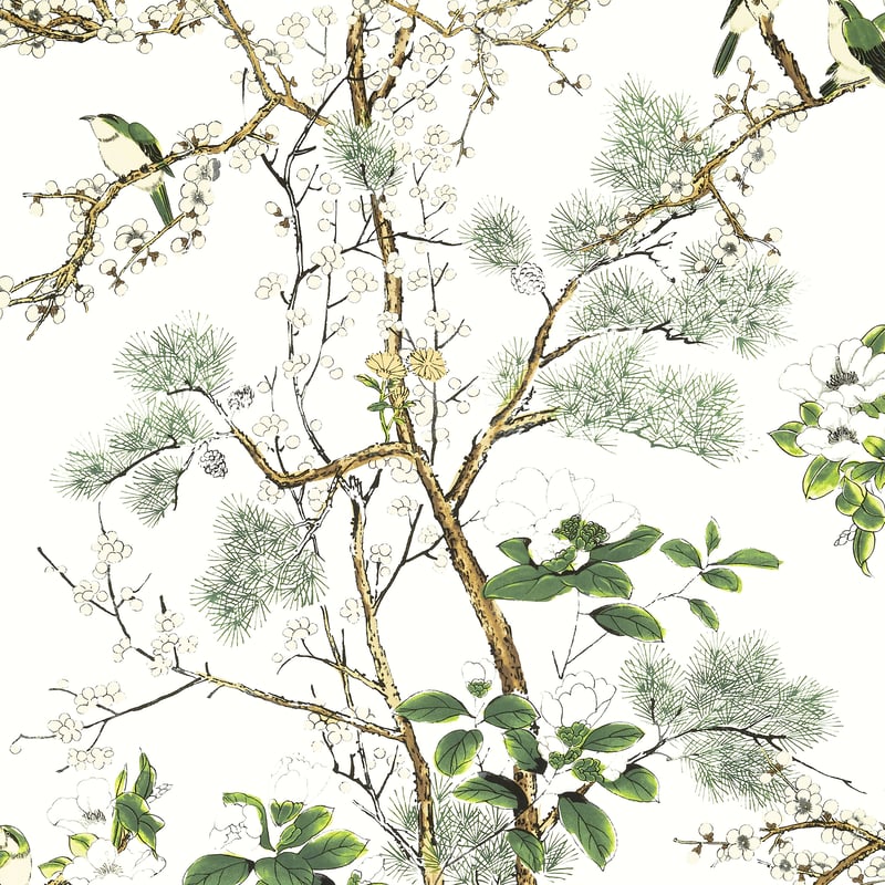 T13621 Thibaut Green and White Wallpaper