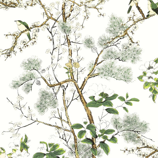 T13621 Thibaut Green and White Wallpaper