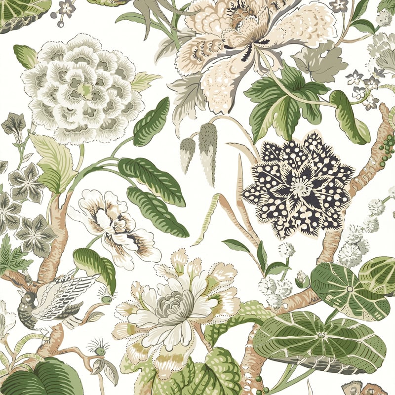 T13656 Thibaut White and Green Wallpaper