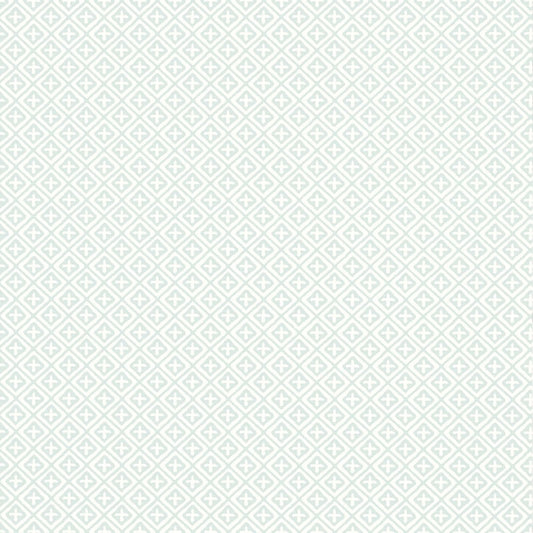 T13665 Thibaut Mist Wallpaper