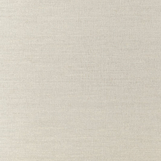 T14115 Thibaut Silver Wallpaper