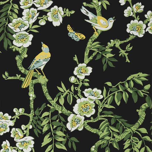 T20845 Thibaut Black Wallpaper