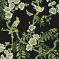 T20845 Thibaut Black Wallpaper