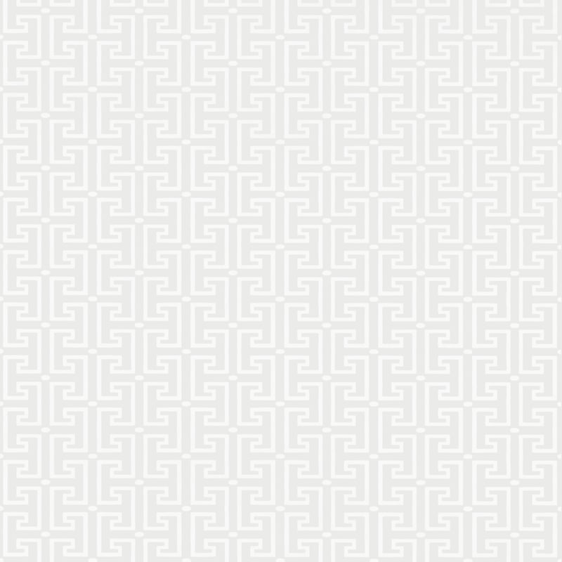 T20859 Thibaut Light Grey Wallpaper