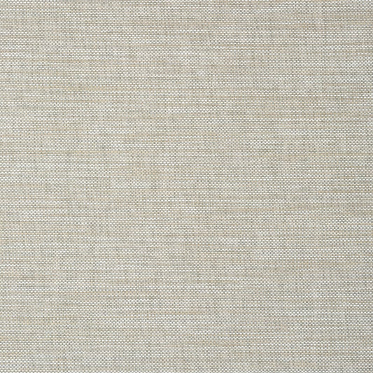 T24119 Thibaut Sage Wallpaper