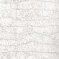 T24405 Thibaut White Silver Wallpaper