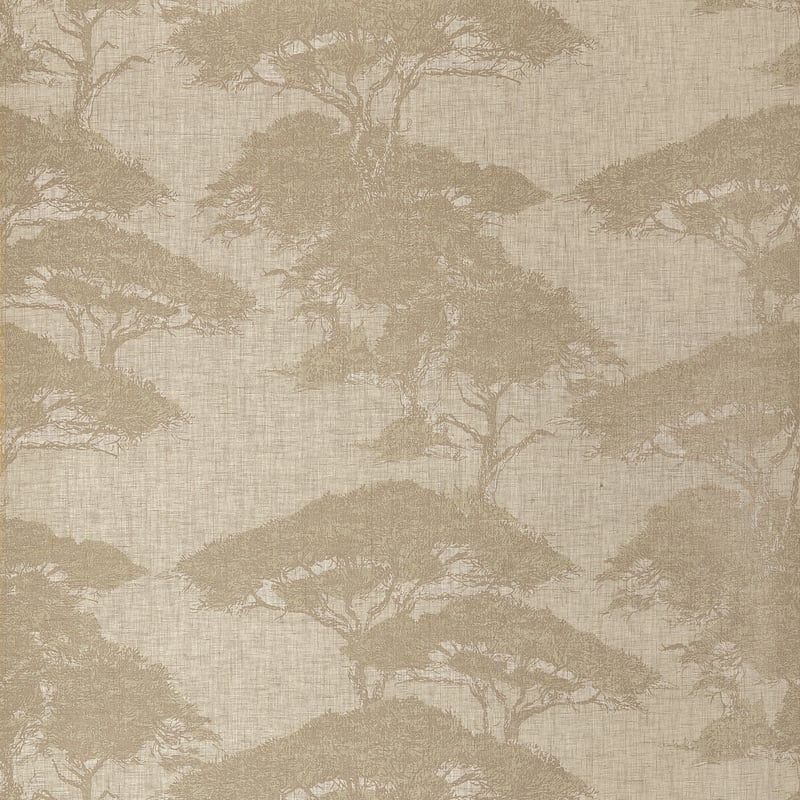 T24436 Thibaut Champagne Wallpaper