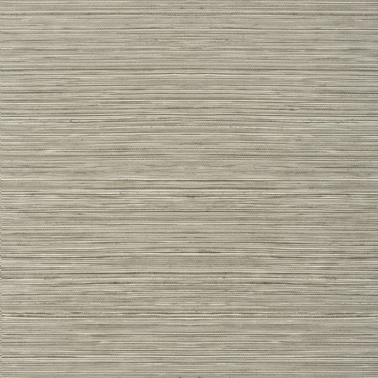 T297 Thibaut Taupe Wallpaper