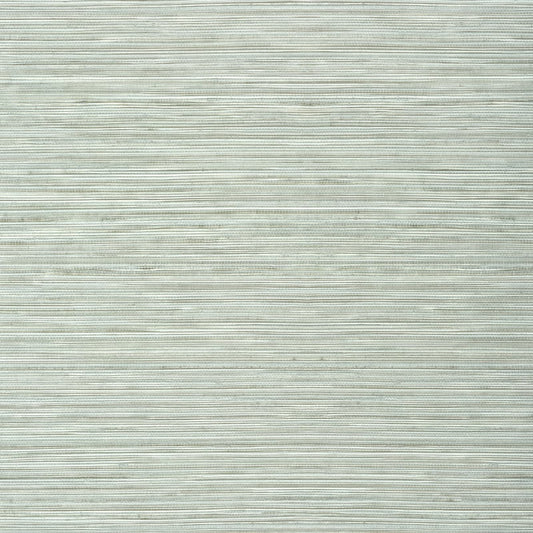 T303 Thibaut Robin's Egg Wallpaper