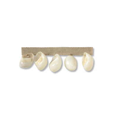 T30448-1 PEARL SHELLS SALT KRAVET COUTURE TRIM