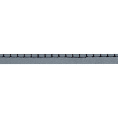 T30756-5 WHIP STITCH CORD DENIM KRAVET DESIGN TRIM