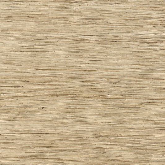 T3635 Thibaut Beige Wallpaper